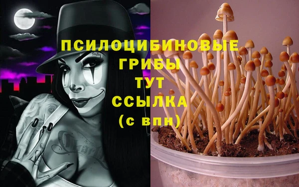 СК Горняк