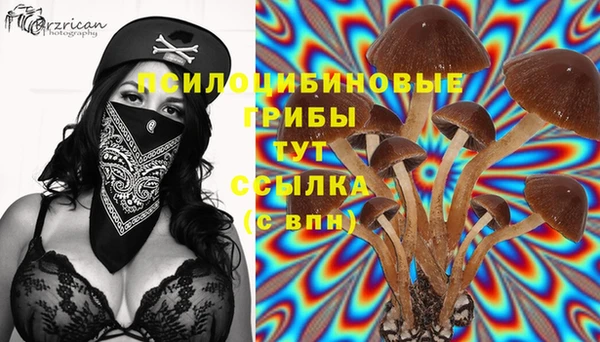СК Горняк