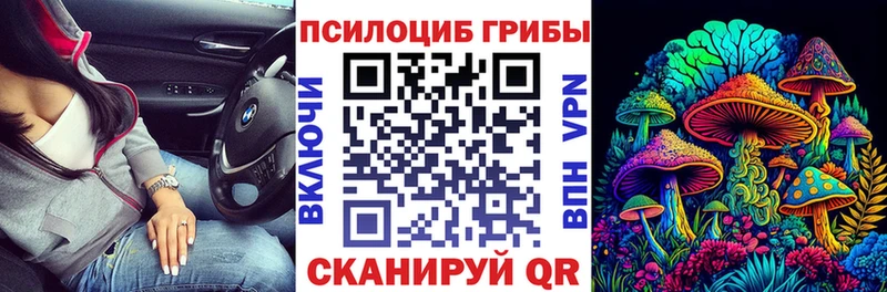 Псилоцибиновые грибы ЛСД  Купить закладки  Камешково 