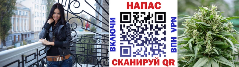 Купить где  Камешково  Конопля тримм 